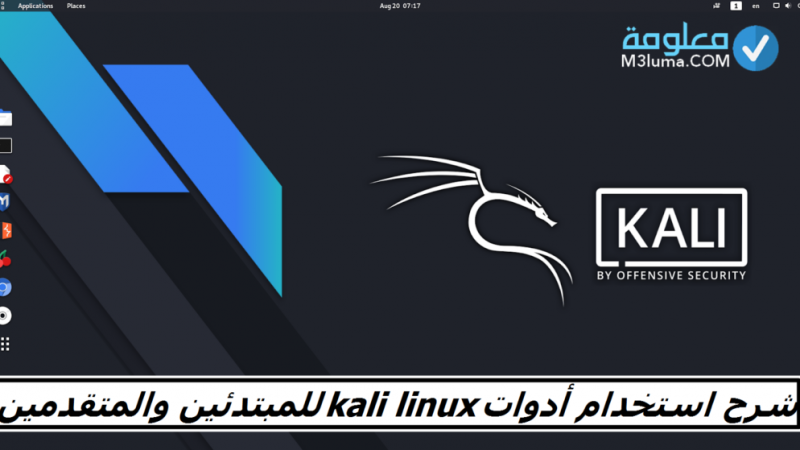 شرح استخدام أدوات Kali Linux للمبتدئين والمتقدمين
