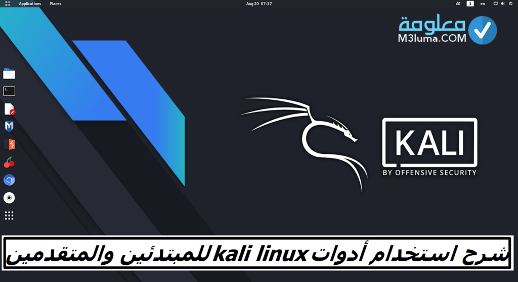 شرح استخدام أدوات Kali Linux للمبتدئين والمتقدمين