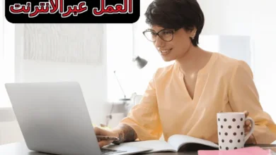 العمل عبرالانترنت - دليل شامل لأهم الطرق المستخدمة في العمل على الإنترنت