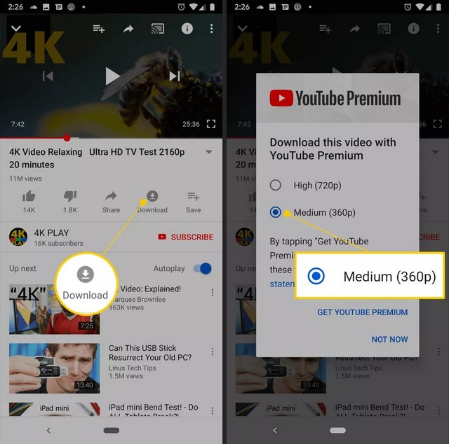 يوتيوب بريميوم